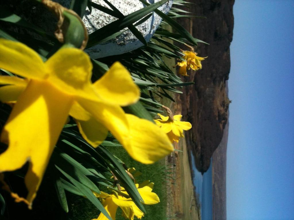 Ben Loyal Hotel Tongue Exterior foto